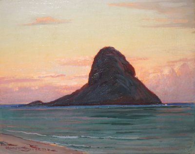 Unknown Image by D. Howard Hitchcock